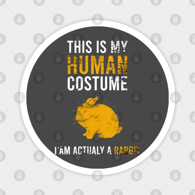 this is my human costume Iam actualy a rabbit Magnet by Teekingdom